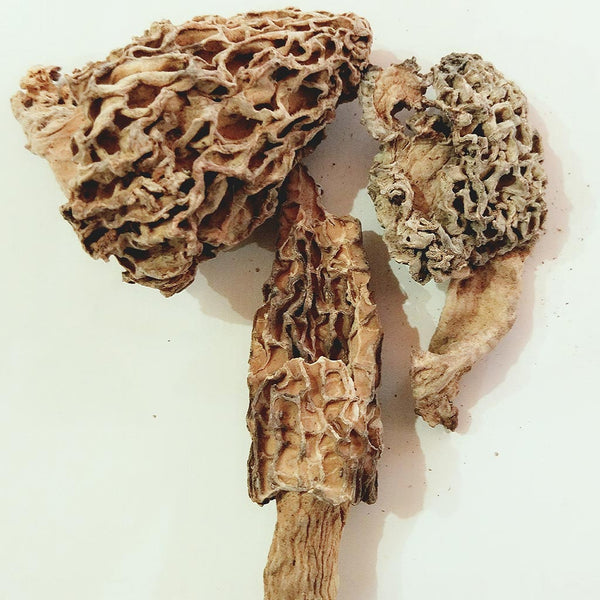 Dried Morel Mushrooms