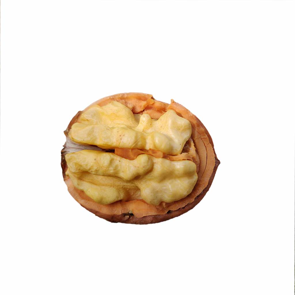 Soft Shell Walnut Kashmiri Soft Shell Walnut One Tree – Kashmirbazzar